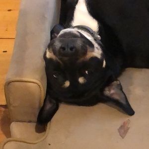 Meet your Posher, Alexandra